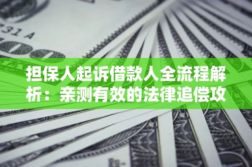 北京担保人起诉借款人全流程解析：亲测有效的法律追偿攻略