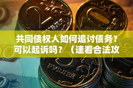 北京共同债权人如何追讨债务？可以起诉吗？（速看合法攻略）