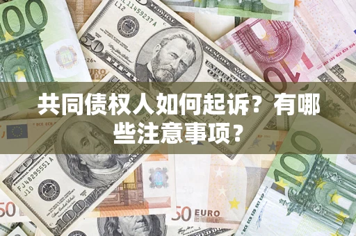 北京共同债权人如何起诉？有哪些注意事项？